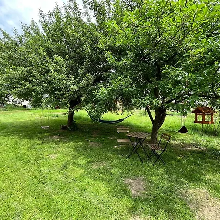 Penzion Hvezda Roda בית כפרי Holín